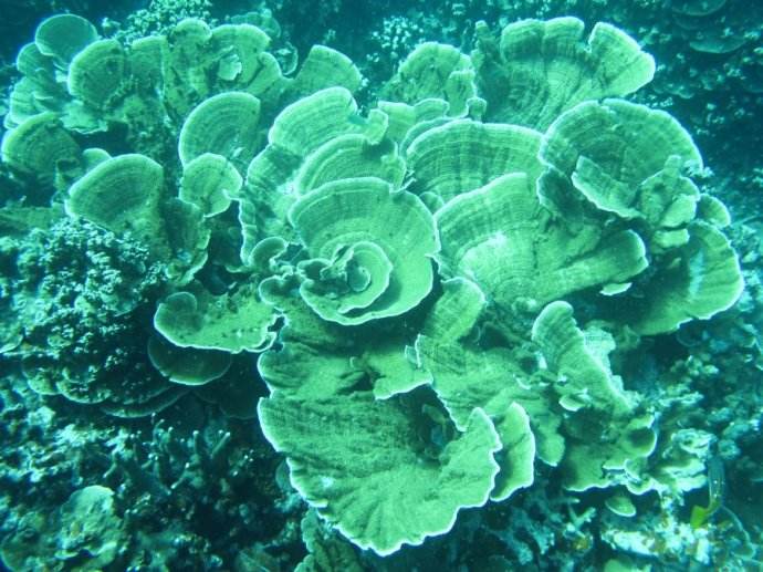 帕劳旅游最美风景攻略,帕劳旅游攻略自由行