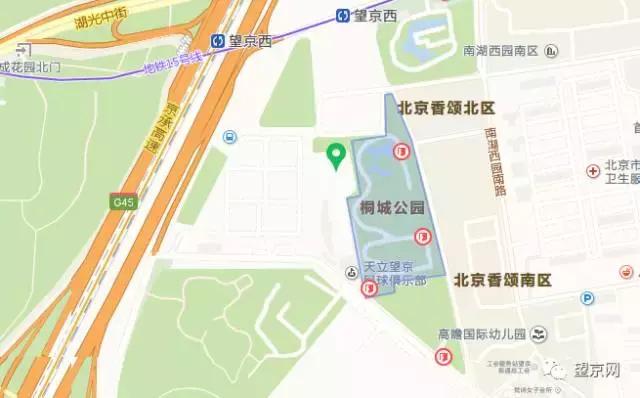 厚积薄发银杏,望京公园和大望京公园哪个好