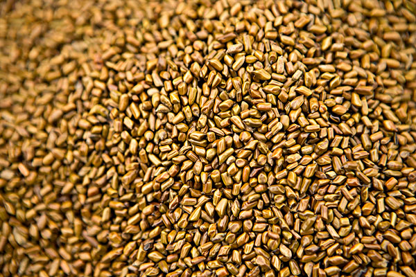 孩子鼻子有异物要做手术取出,3岁宝宝鼻子痒怎么处理