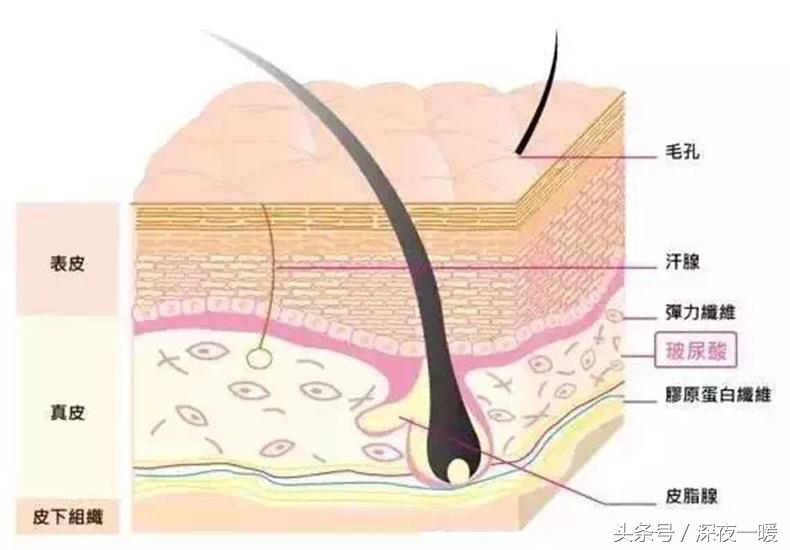 不注射玻尿酸会加速衰老,不打玻尿酸怎么去法令纹