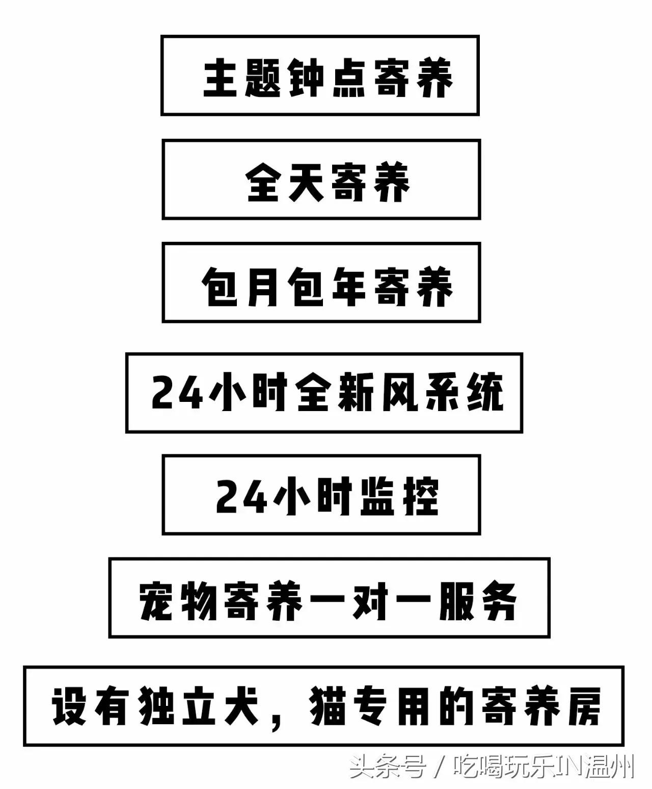 爱狗如命的女孩是什么心理,爱狗如命的女主角