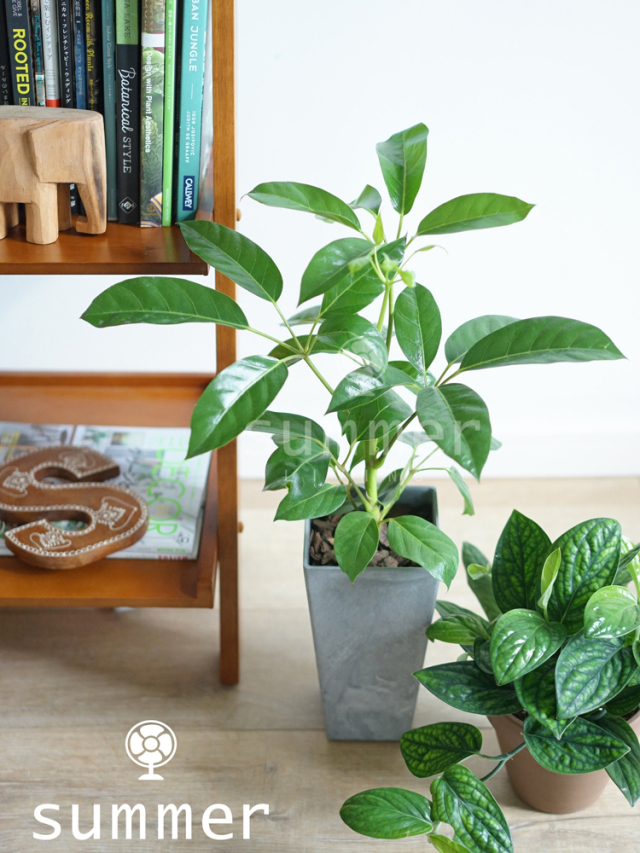 淘宝装修精美的店铺推荐,装修类淘宝店铺推荐