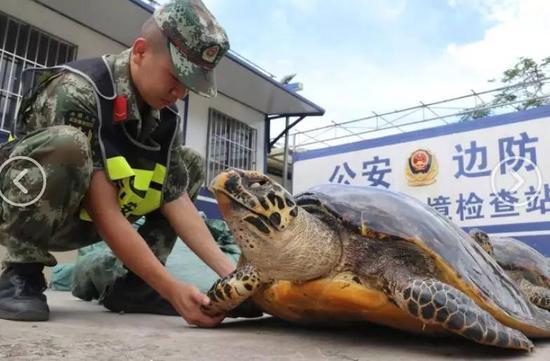 清代玳瑁加工工艺,玳瑁工艺