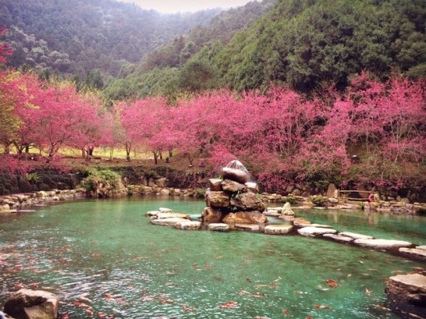 去台湾有哪些好玩的地方啊,去台湾玩有什么好玩的