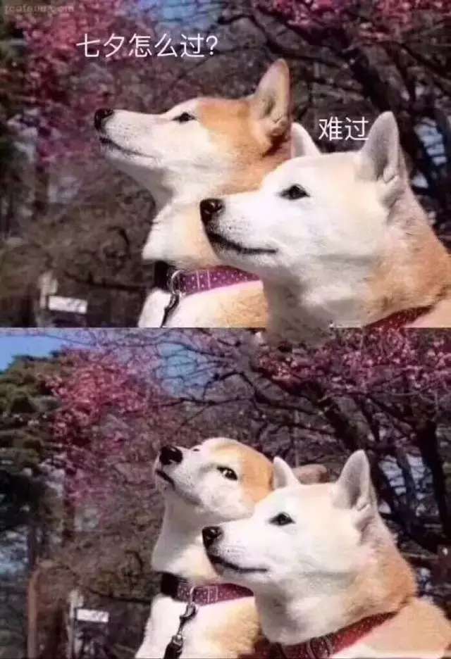 中超球员郜林,郜林中超联赛99球