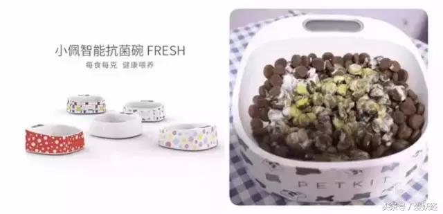 Todayis七夕,这盆狗粮爱妖经替你验过,放心吃吧