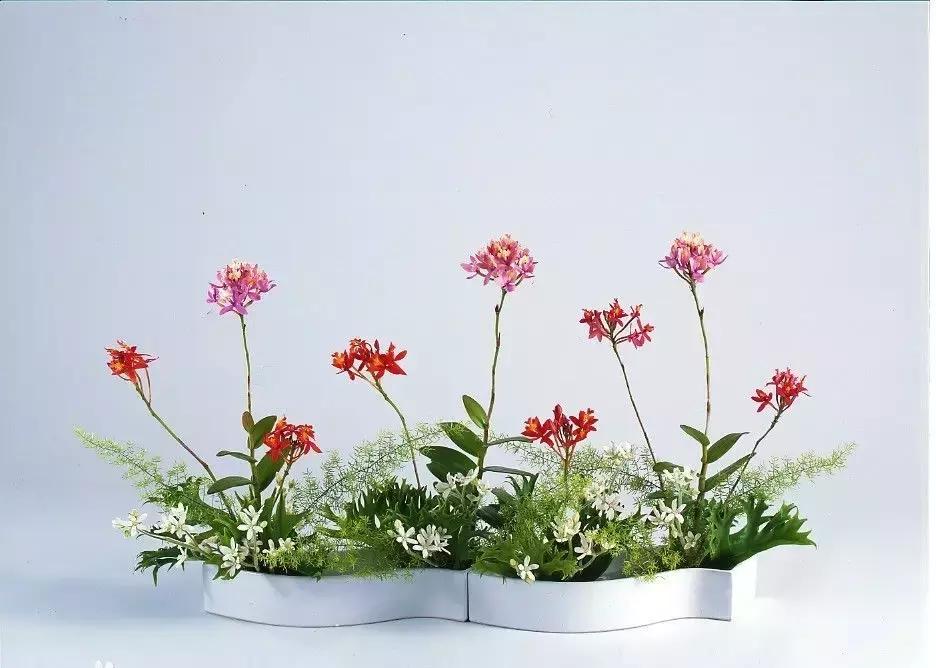 论花艺,不得不服日本