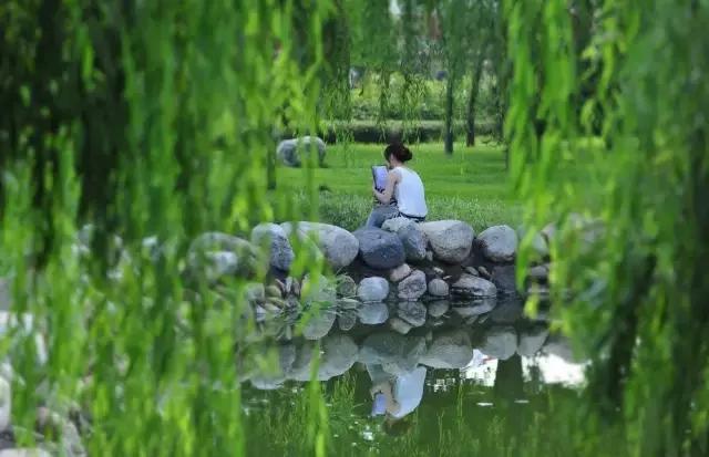 渭南临渭宜居吗,临渭区规划图高清