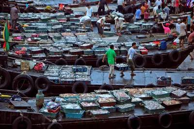 休渔期适合去沿海城市旅游吗,休渔期海岛吃什么