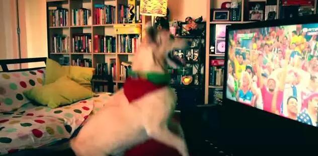 手舞足蹈狗,手舞足蹈的狗