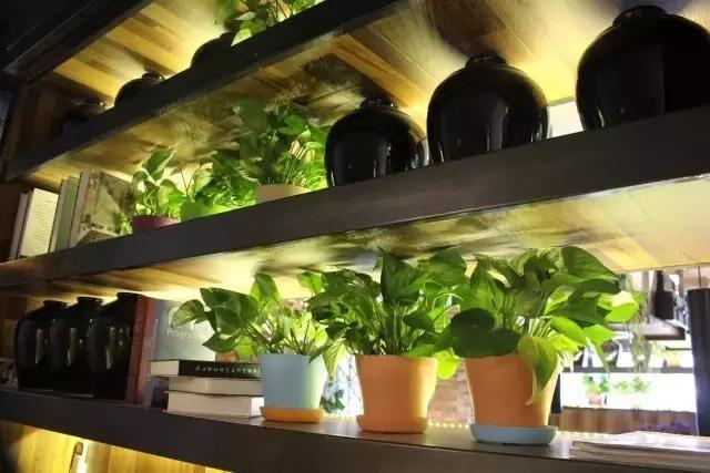 那些年的我们青年餐厅团购,那些年我们的青年餐厅