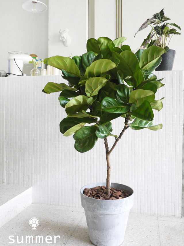 淘宝装修精美的店铺推荐,装修类淘宝店铺推荐