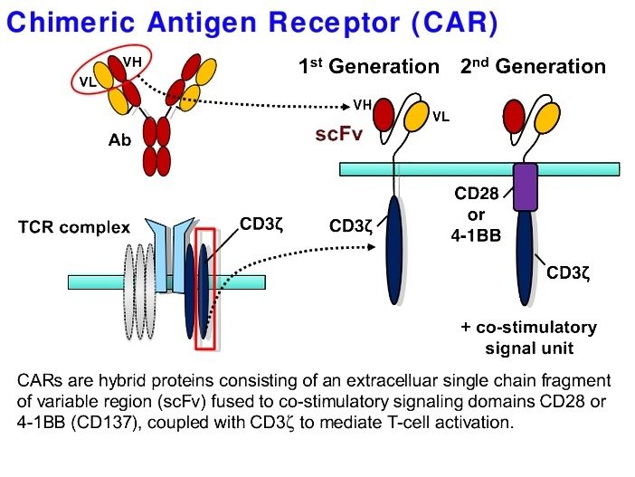 fda批准首个阿尔茨海默症新药,fda批准58种新药