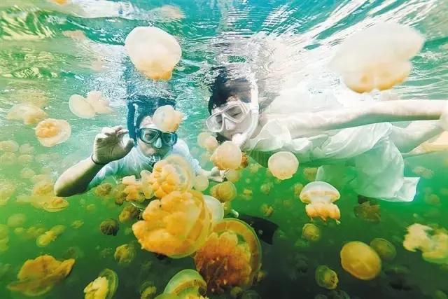 爱上邮轮的十个理由,爱上潜水的理由