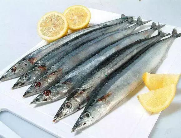 羊口开海！倒计时一天！第一网吃起来！看完哈喇子流一地