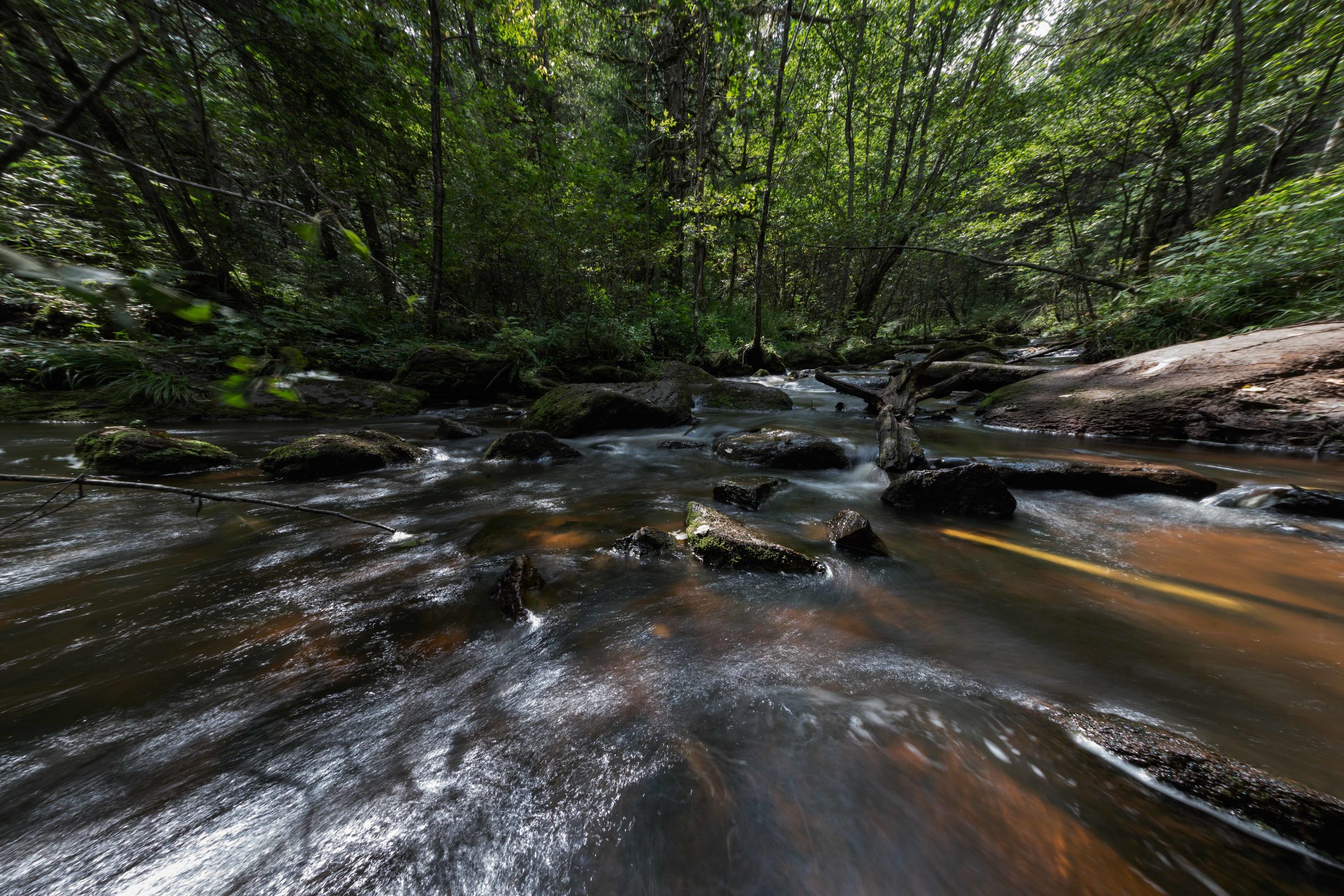 黑龙江自驾游美食攻略,黑龙江环线自驾游攻略