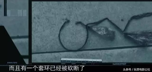 豆瓣8.1，央视良心之作，堪比《舌尖上的中国》