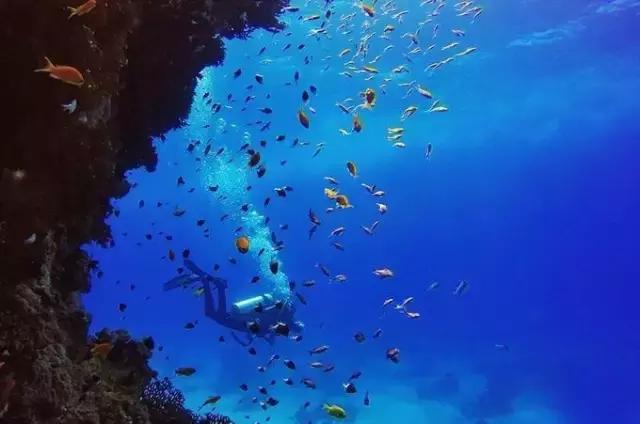 爱上邮轮的十个理由,爱上潜水的理由