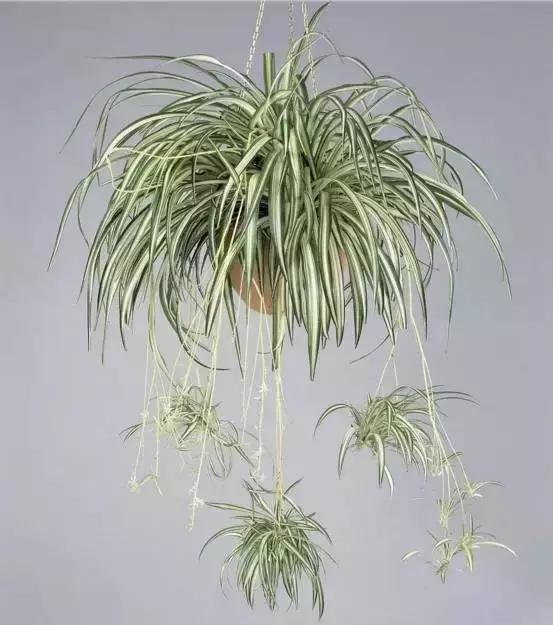 家庭装修苯超标如何治理,装修污染苯一般需要多久挥发掉