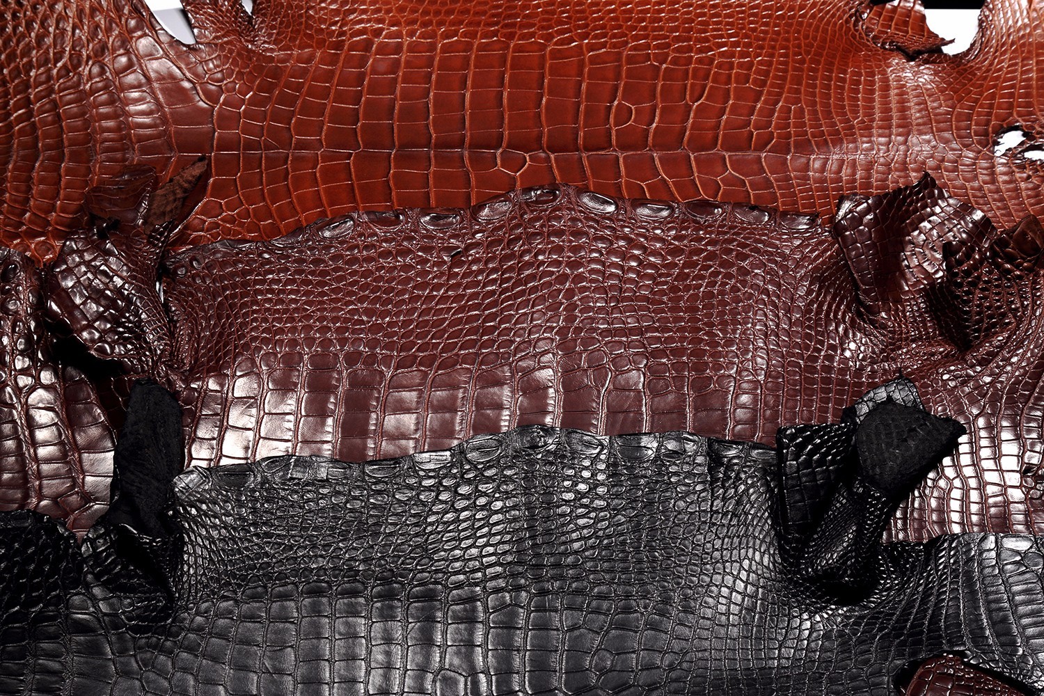 看起来差不多价格相差甚远,各类鳄鱼皮的价位