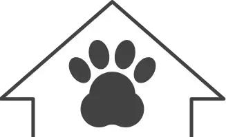 狗狗嘴巴臭,狗狗嘴臭最好解决办法