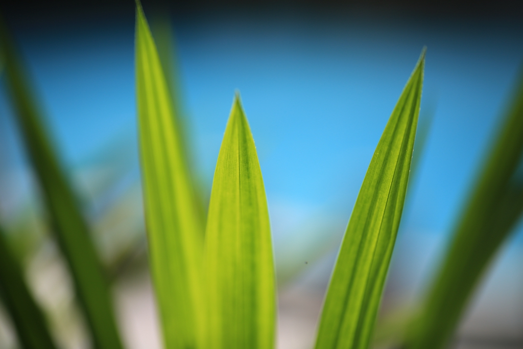 何必去南美，呀诺达热带雨林就有无数宝藏