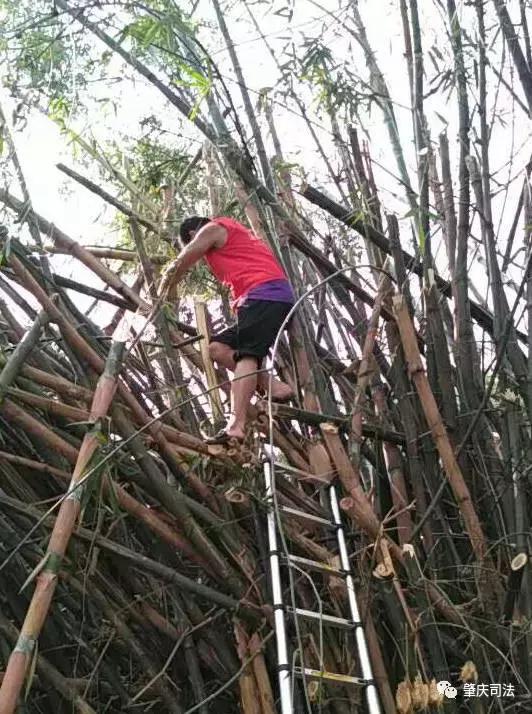 深入网格督查创文,创文网格宣传成效初显