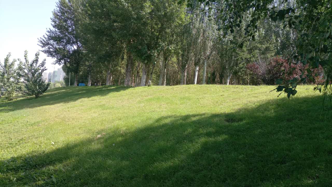 沈阳长白岛森林公园有海吗,游沈阳的长白岛森林公园400字作文