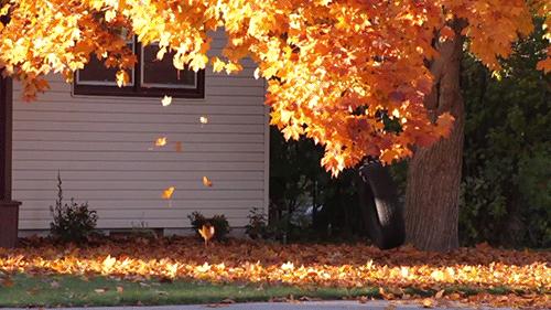 婴儿的脸俏皮怎么回事,宝宝有点大小脸正常吗