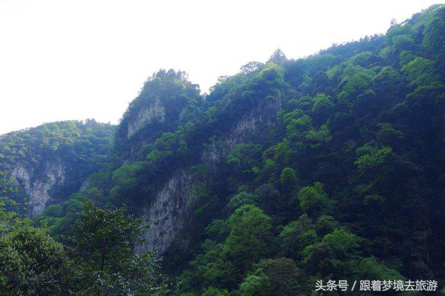 重庆最美黑山谷景区,重庆万盛黑山谷旅游如何