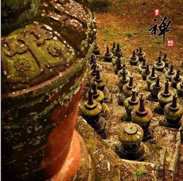 带你体验不一样的异国风情柬埔寨,去柬埔寨探寻神秘而又独特的美