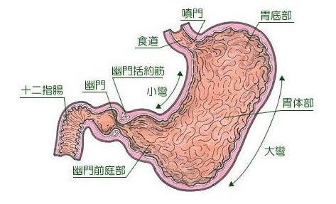 全国有最多的胃癌患者,全国胃癌最好的专家是谁
