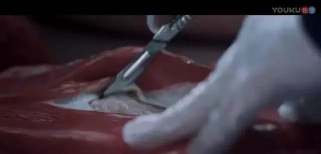 这是我见过最强的人图片,这是我见过最强的人机