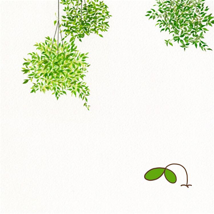 微信相册封面图片大全,微信相册封面图是什么