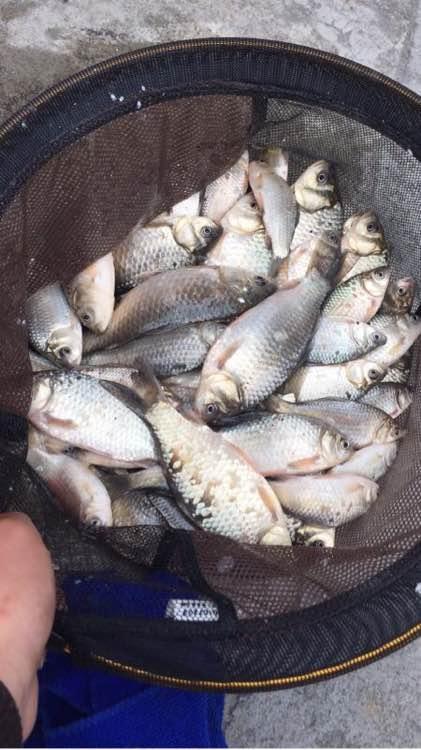 上班绑鱼钩，午休去钓鱼，因为工作耽搁了钓鱼，太不值！