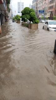 东莞海滩必备泳衣,东莞海边最新消息