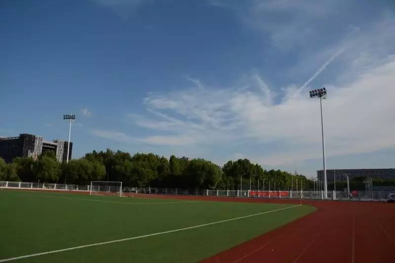 跌宕起伏的总决赛,跌宕起伏的剧情扣人心弦