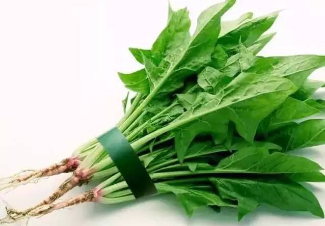 适合宝宝吃的有哪些食物,最适合孩子吃的九种食物