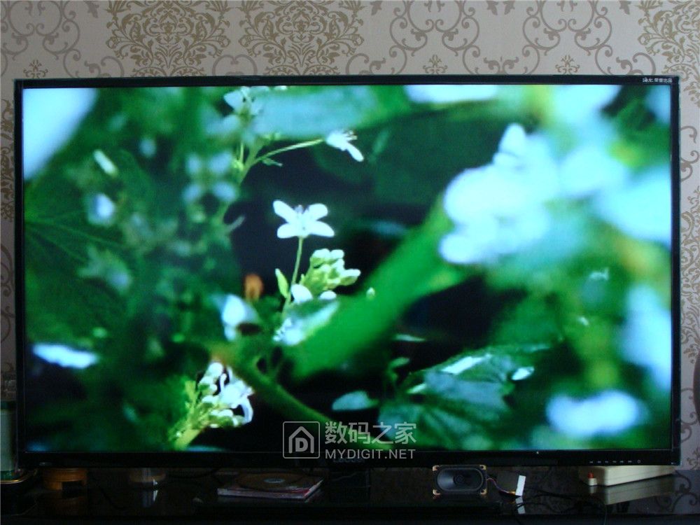 奇声vcd影碟机2008,奇声VCD影碟机