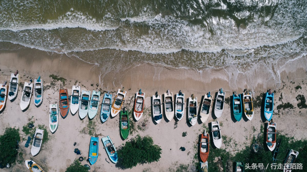 晚间捕鱼的渔民,晚上捕鱼白天卖寿司