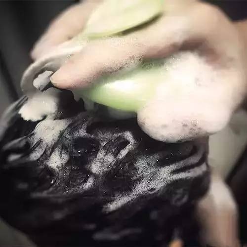 明星最爱的12款人气梳子大比拼,明星用的同款梳子