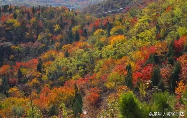 命苦它是北京最冤的一个区