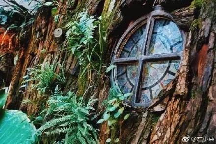 好吃又好看的打卡地,重庆小众婚纱拍照地