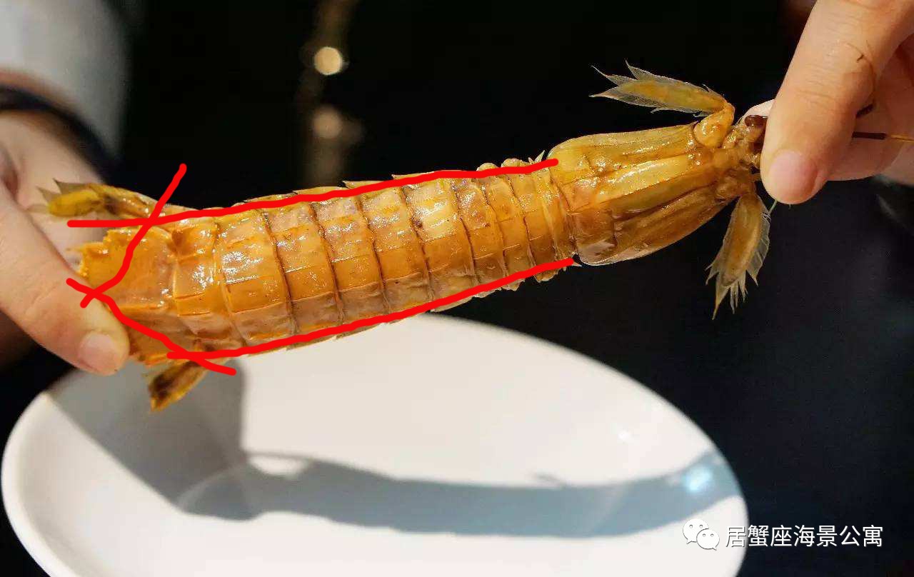 攻略|老渔民亲传“扒虾秘籍”,皮皮虾我们走!