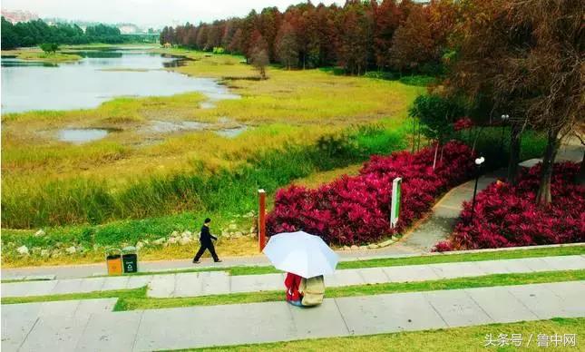 为什么要定居省会城市,为什么定居淄博