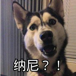 nars国内外价格差多少,nars十大必买化妆品