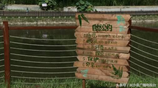 神奇的学校有哪些,神奇的学校完整版国语版