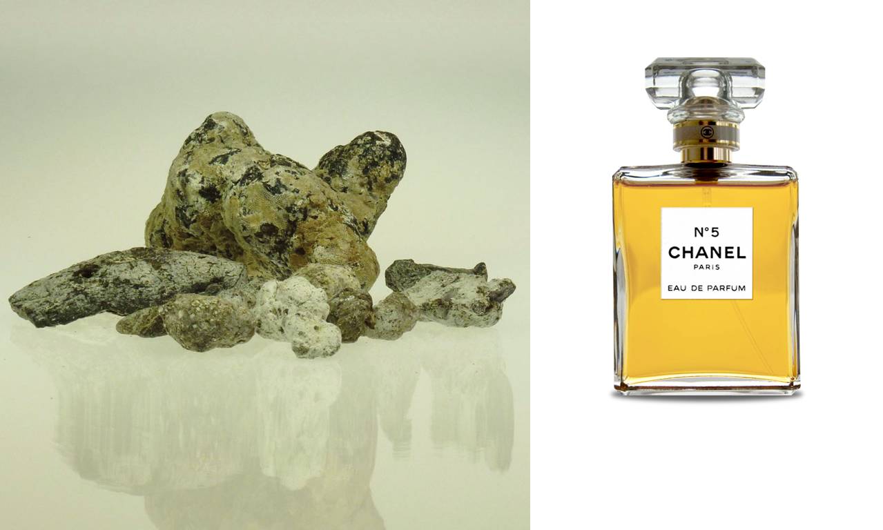 法国顶级奢侈品香水 (法国最香香水)