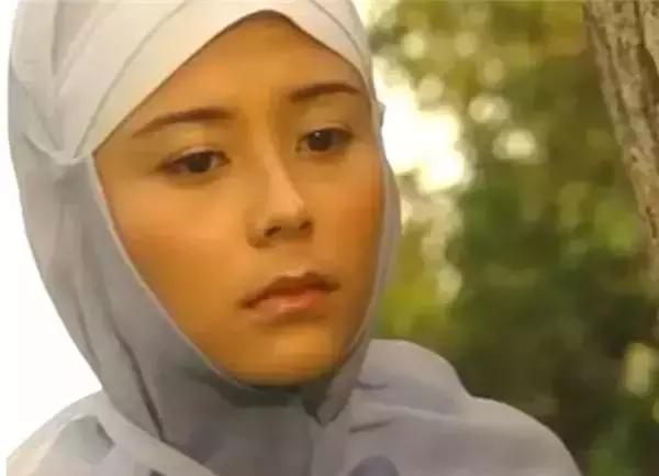 笑傲江湖小尼姑仪琳是什么派,笑傲江湖仪琳怎么做的尼姑