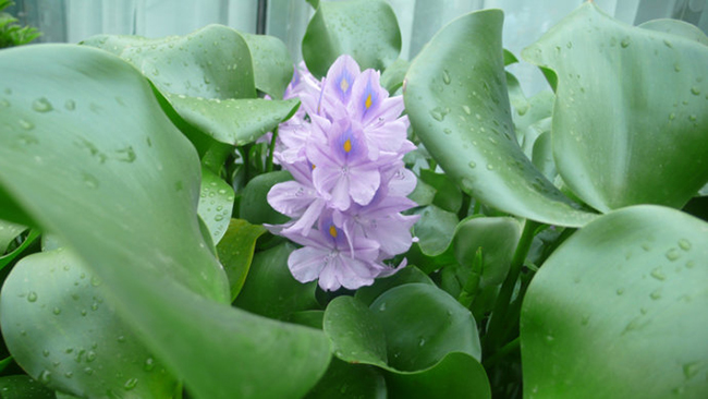 椹湭閮芥按钁姦,椹湭閮芥按钁姦瑙嗛